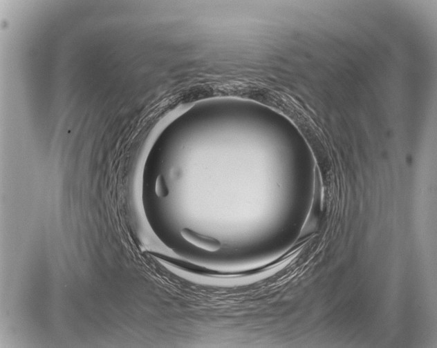 X0000082201345200701191432