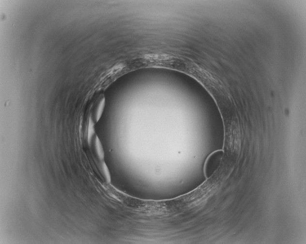 X0000082201346200701191432