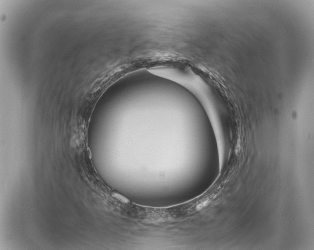 X0000082201349200701191432