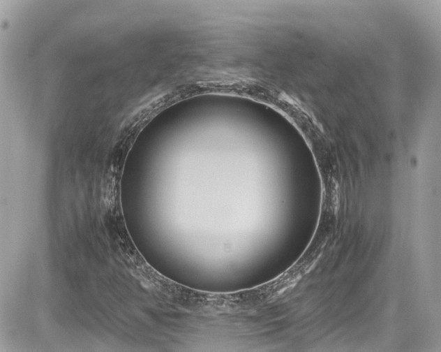 X0000082201350200701191432