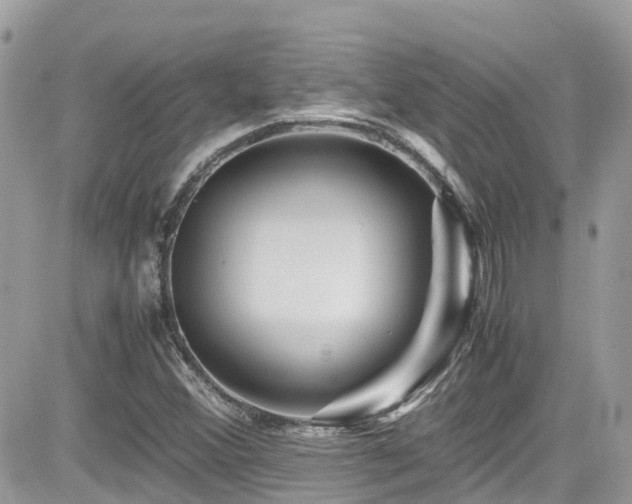 X0000082201356200701191432