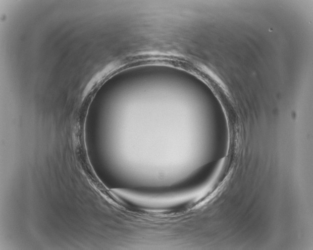 X0000082201357200701191432