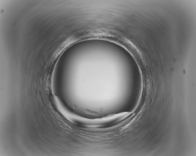 X0000082201361200701191431
