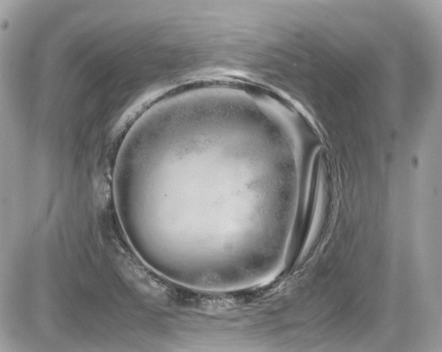 X0000082201363200701191431