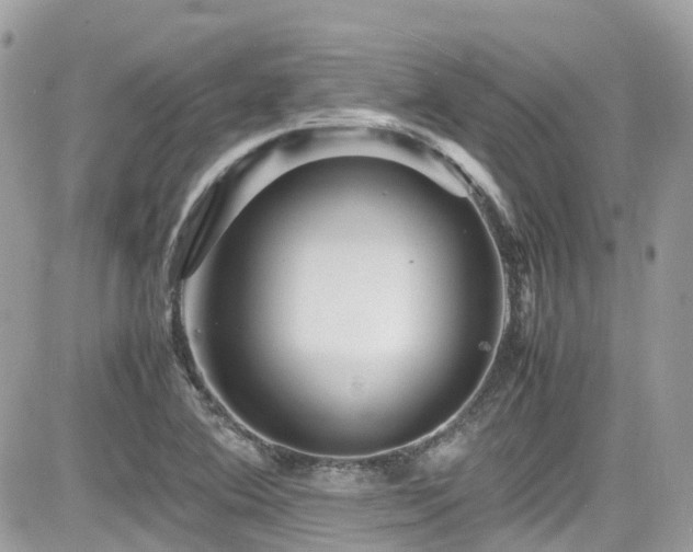 X0000082201364200701191431