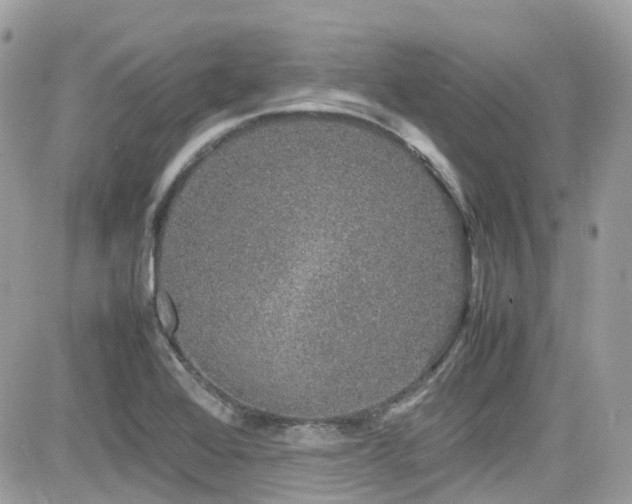 X0000082201368200701191431