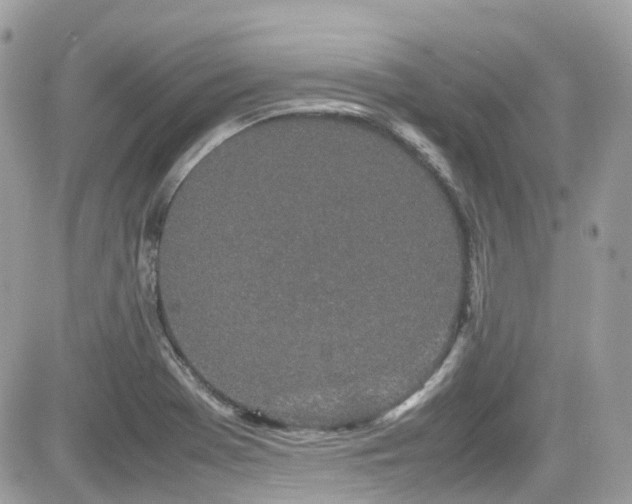 X0000082201369200701191431