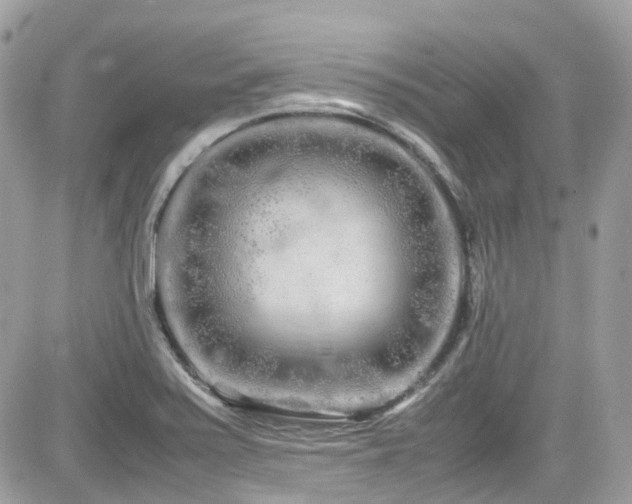 X0000082201371200701191431