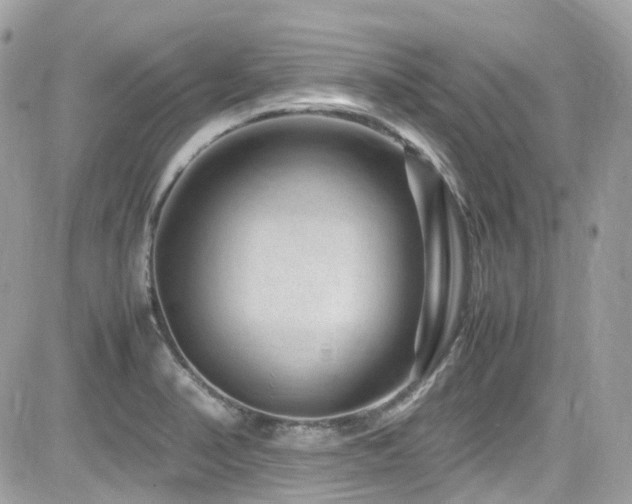 X0000082201374200701191431