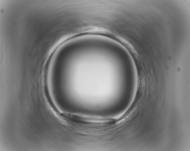 X0000082201375200701191431