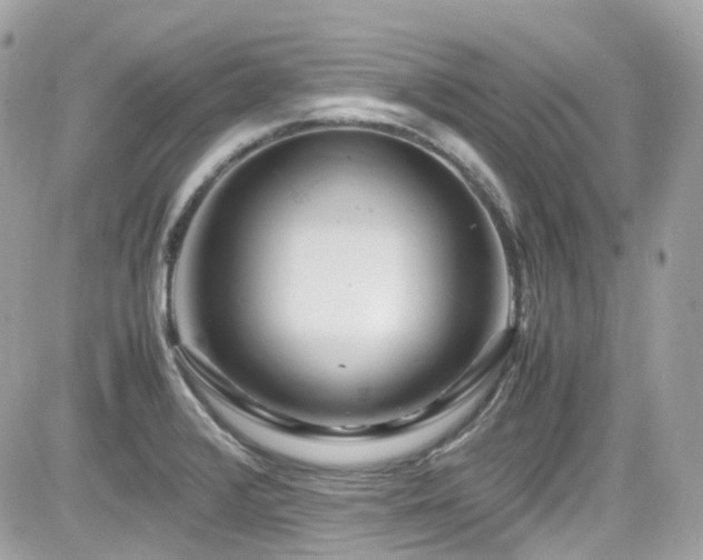 X0000082201376200701191431