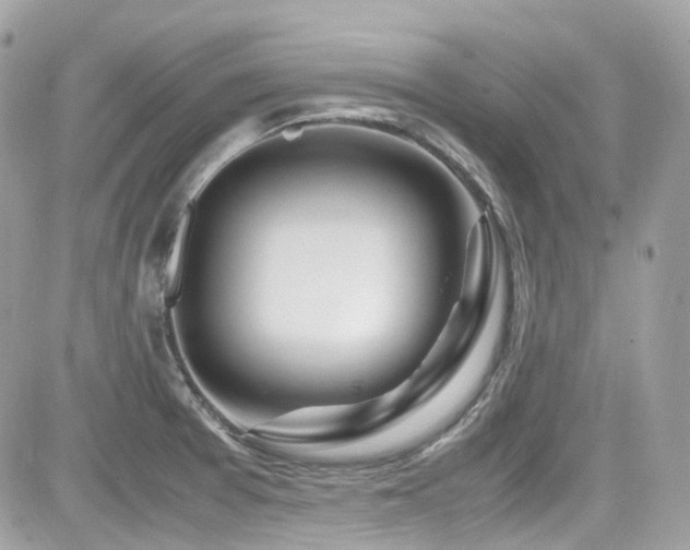 X0000082201377200701191431