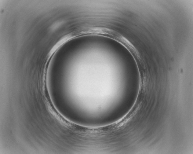 X0000082201378200701191431
