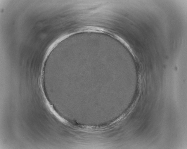 X0000082201379200701191431