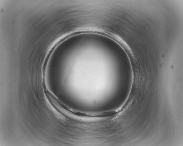 X0000082201380200701191431