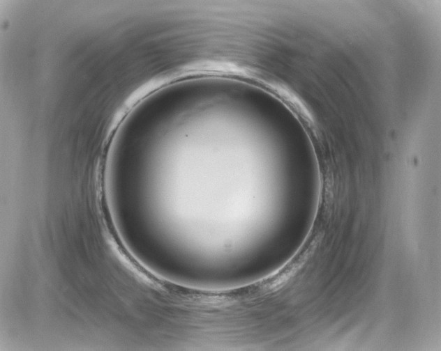 X0000082201382200701191431