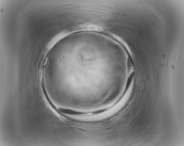 X0000082201383200701191431