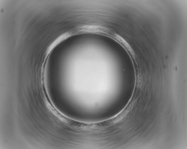 X0000082201386200701191431