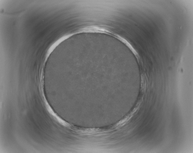 X0000082201387200701191431
