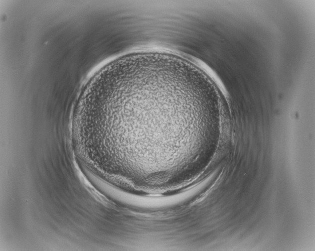 X0000082201388200701191431