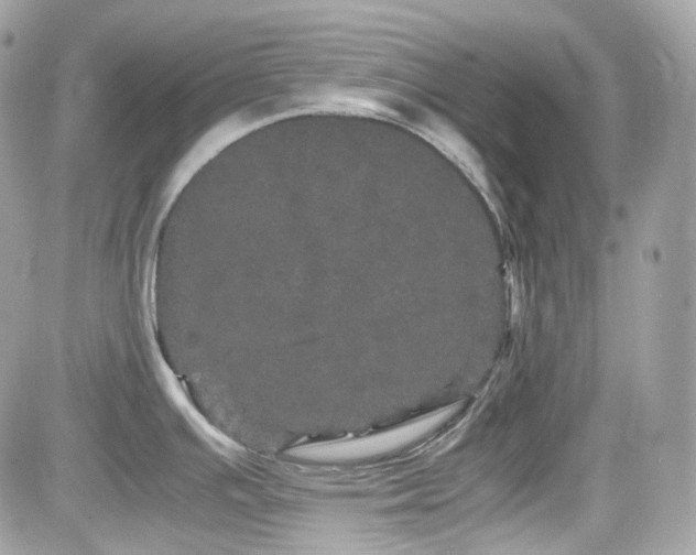 X0000082201391200701191431