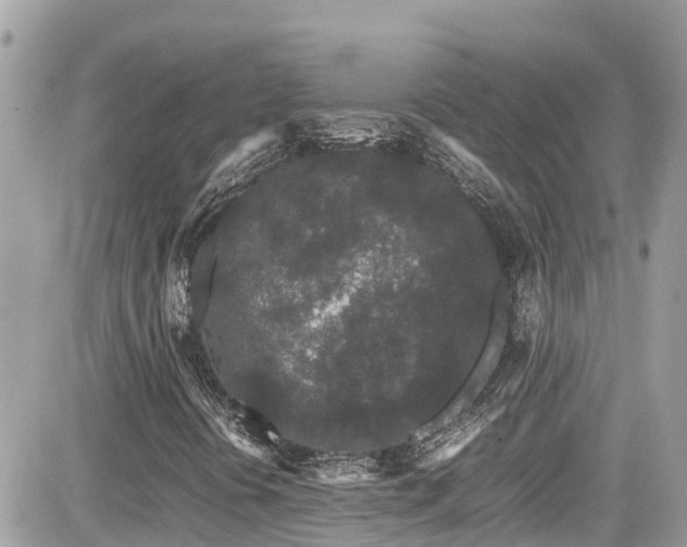 X0000082201394200701191430