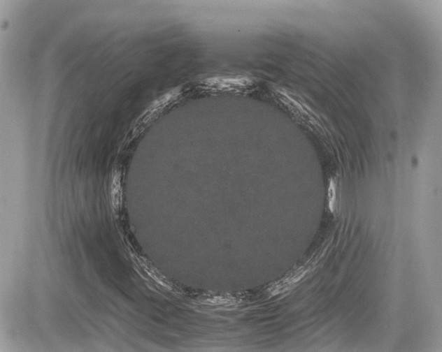 X0000082201395200701191430