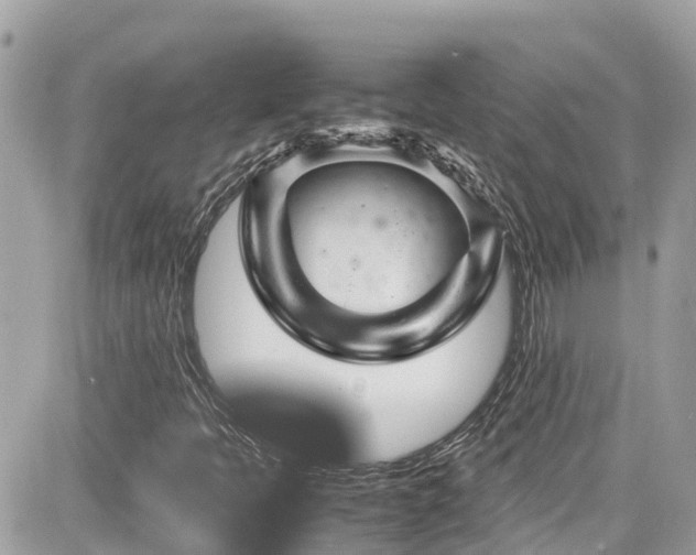 X0000082201397200701191430