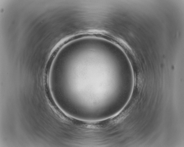 X0000082201412200701191431