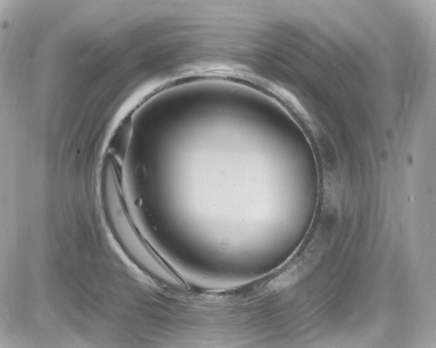 X0000082201424200701191431