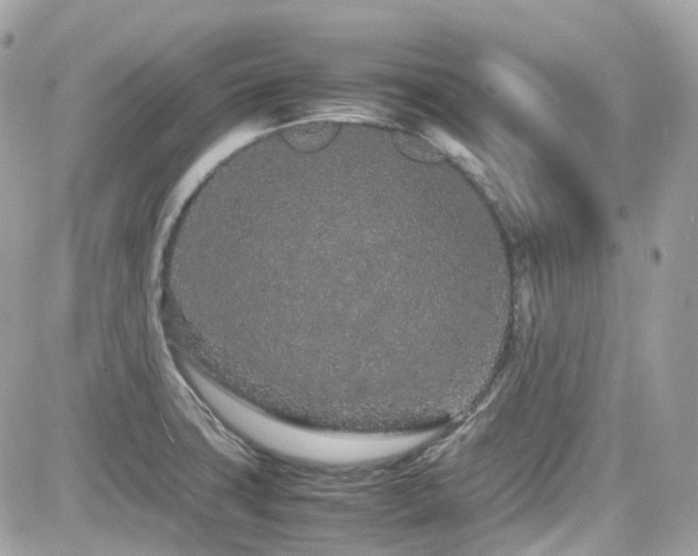 X0000082201427200701191431