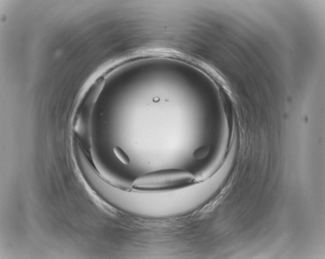 X0000082201430200701191431