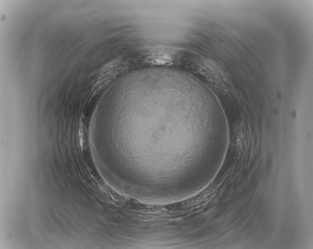 X0000082201442200701191430