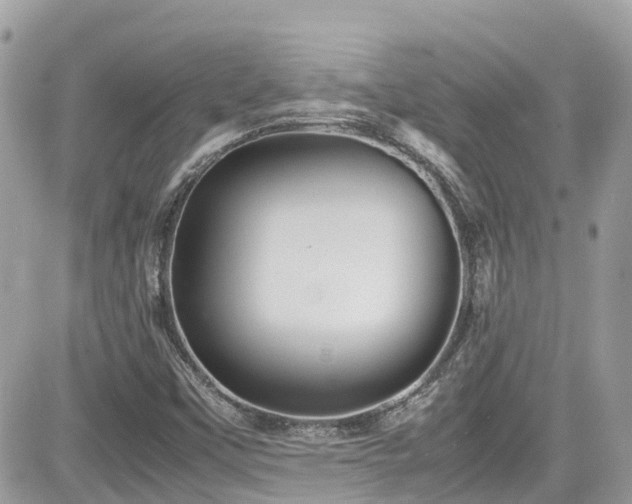 X0000082201451200701191430