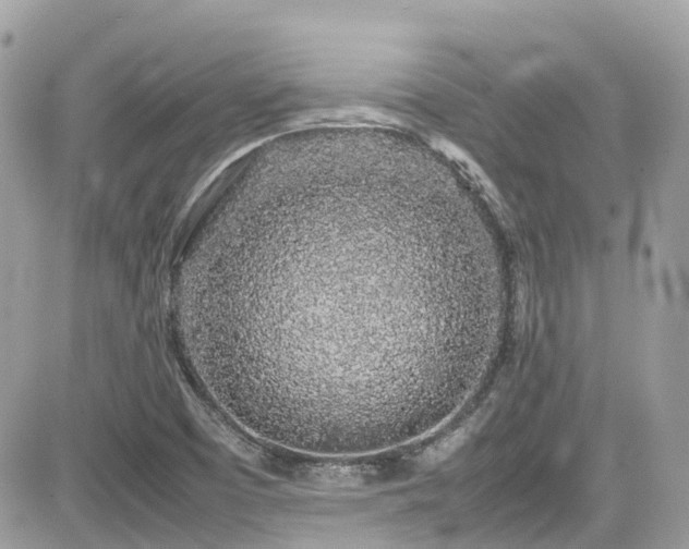 X0000082201457200701191430