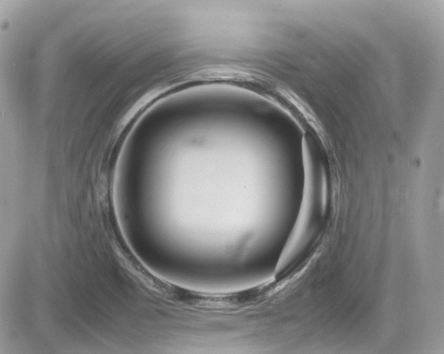 X0000082201465200701191430