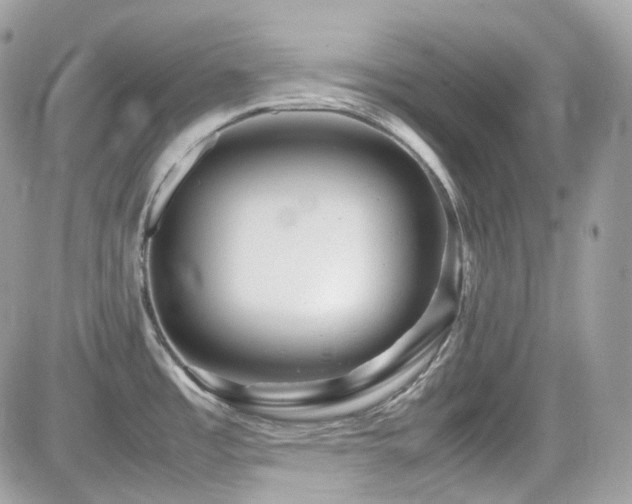 X0000082201485200701191429