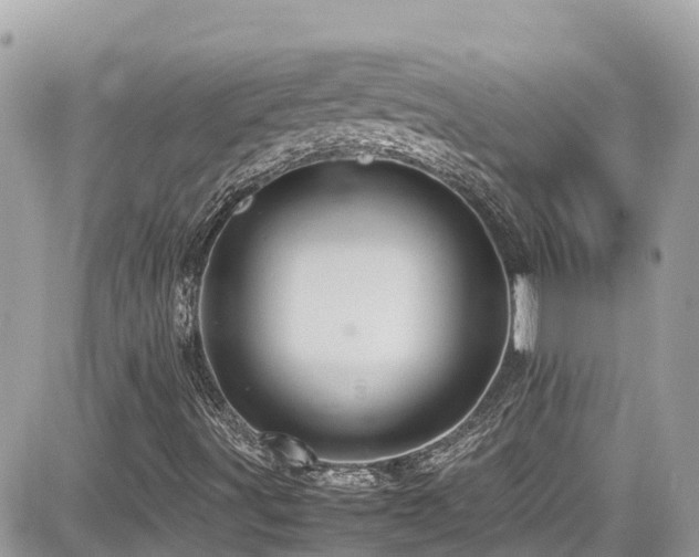 X0000082201491200701191429