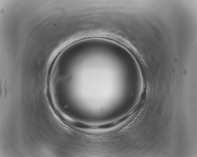 X0000082201512200701191429