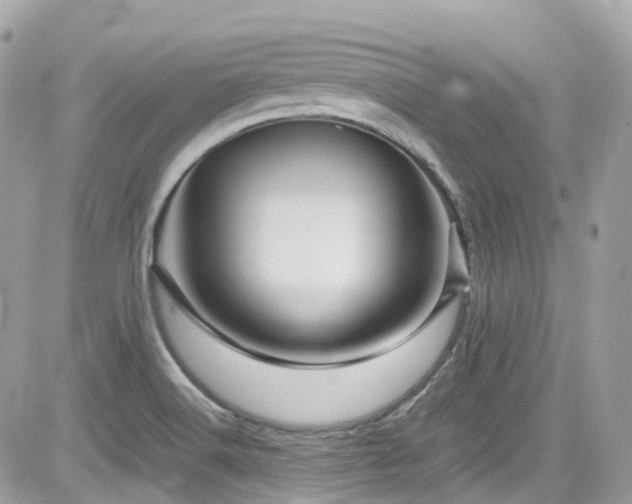 X0000082201516200701191429