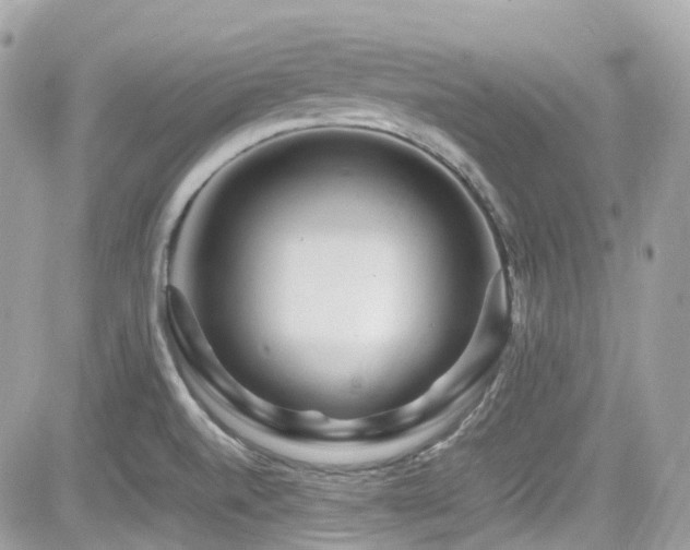 X0000082201520200701191429