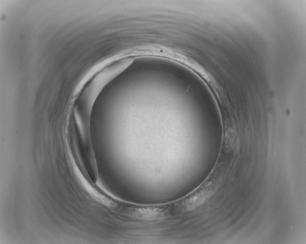 X0000082201523200701191429