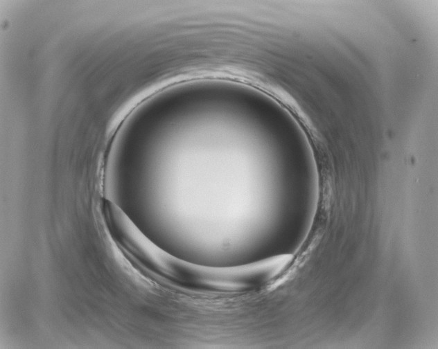 X0000082201524200701191429