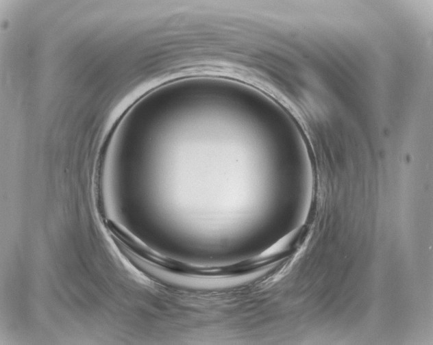 X0000082201533200701191429