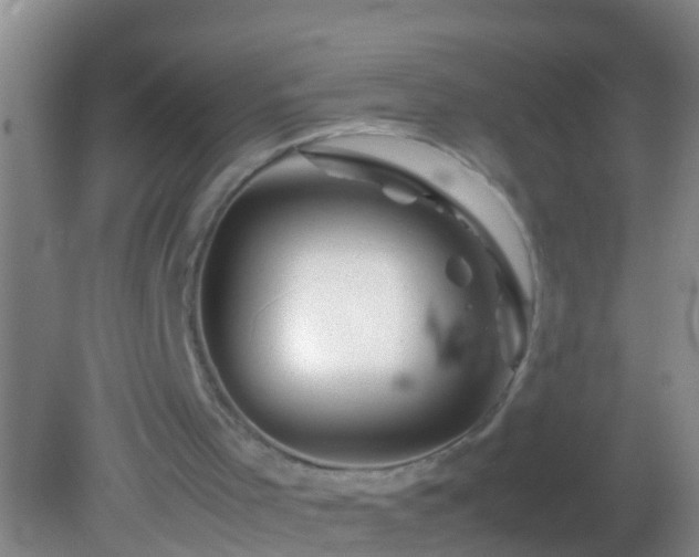 X0000082200001200701270130