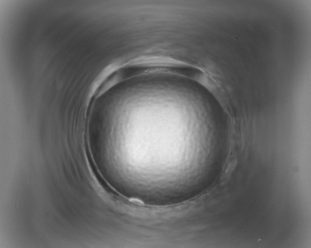 X0000082200003200701270130