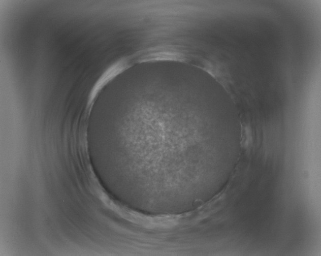 X0000082200004200701270130