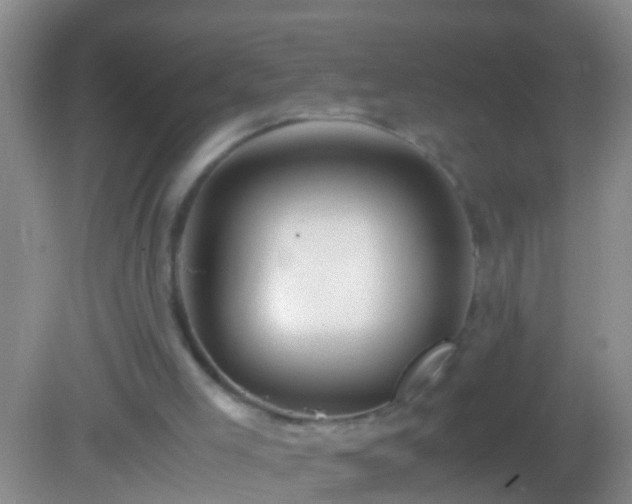 X0000082200005200701270130