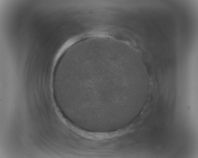 X0000082200006200701270130