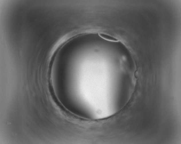 X0000082200007200701270130